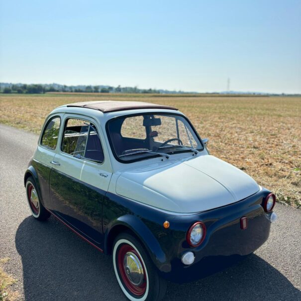 PHOTO-2024-12-31-10-17-51