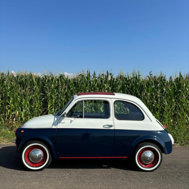 PHOTO-2024-12-31-10-18-23